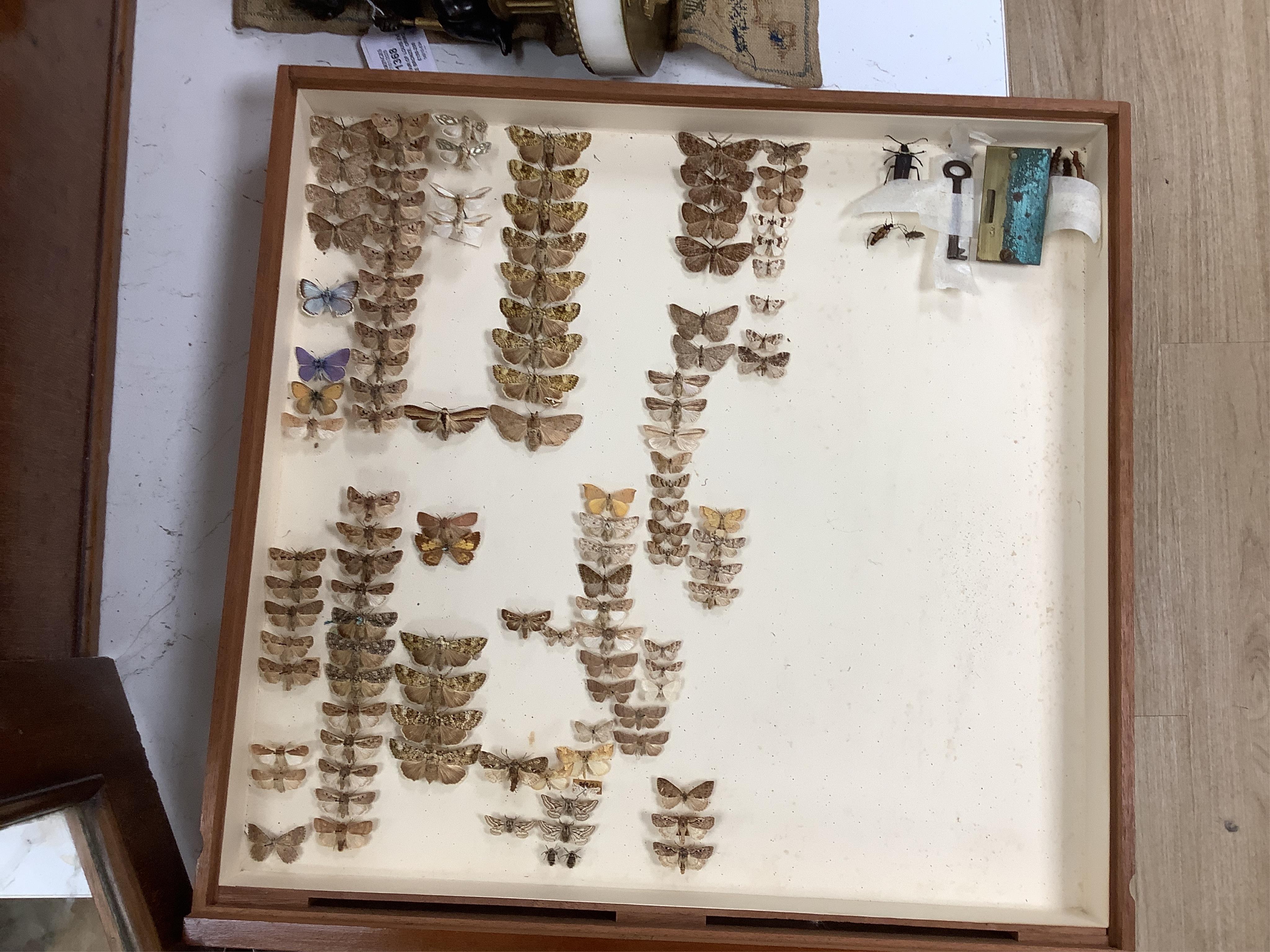 A Victorian mahogany 10-drawer collector’s cabinet with arched glazed door, height 68cm, width 54cm, depth 53cm, containing prepared and pinned moth and butterfly specimens, together with seven 1940s volumes of the Proce